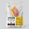 Croquette chien ginseng