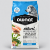 Croquette chien junior