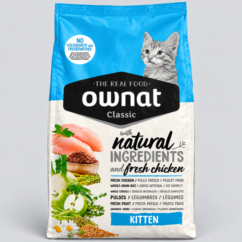 croquette chat kitten 4kg