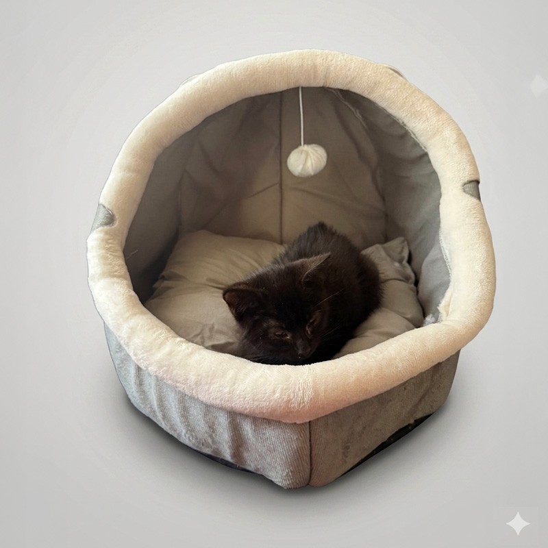 Petit lit douillet avec jouet pour chat