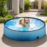 Piscine pour petit chien