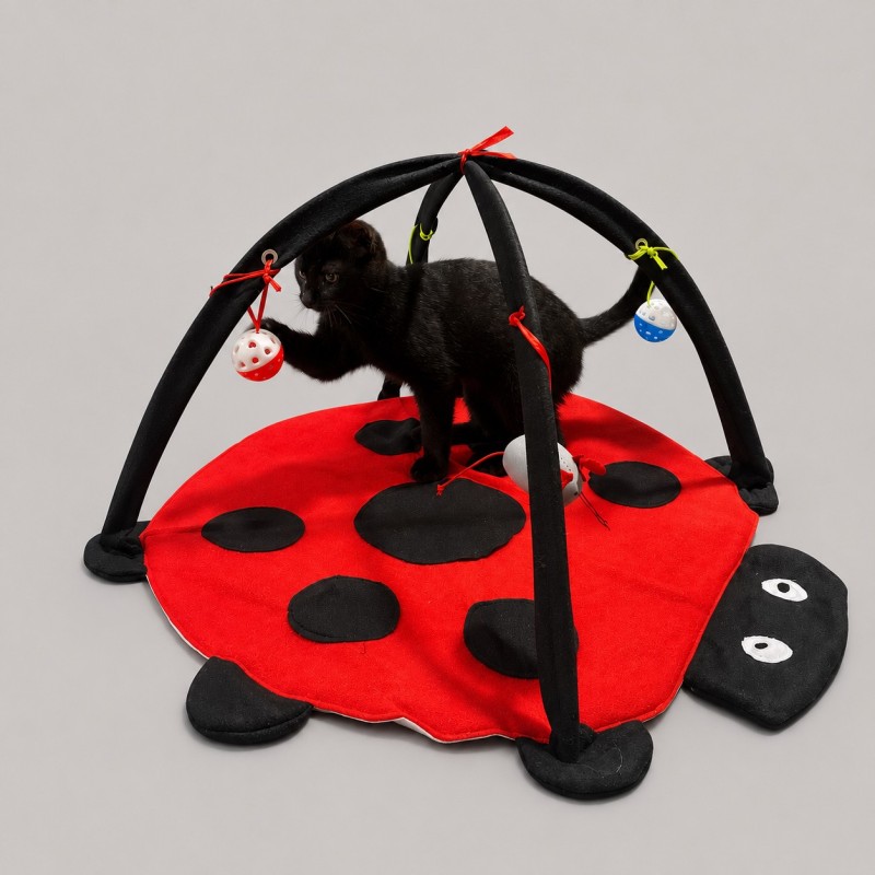 chat jouet tapis coccinelle interactive