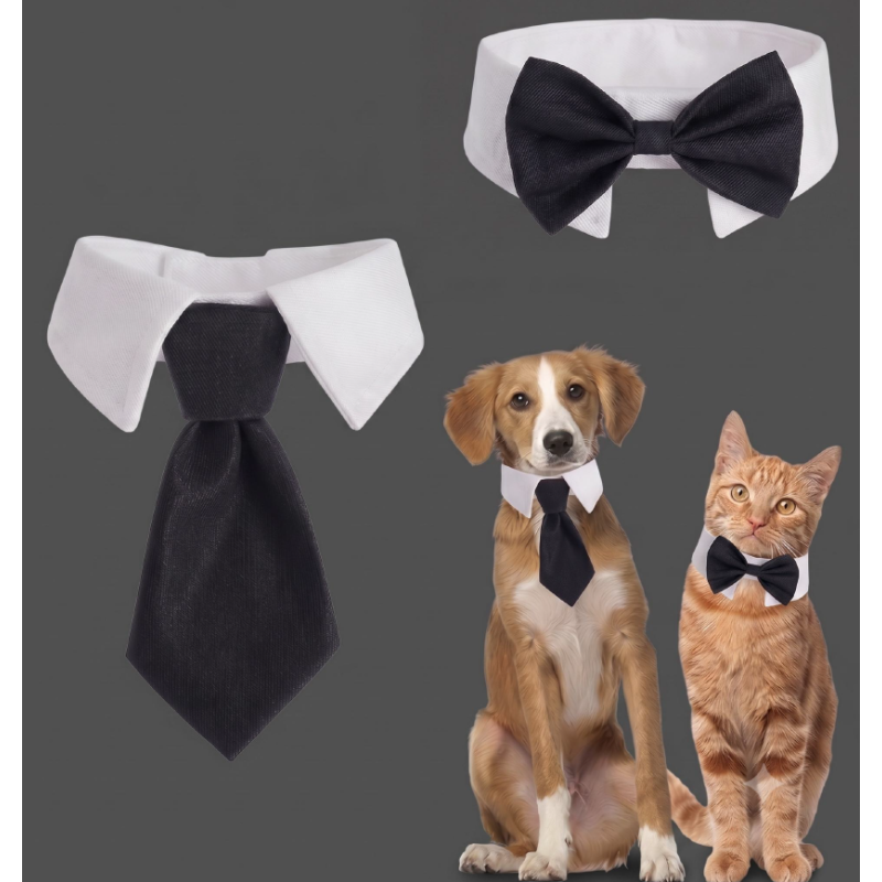 LOT DE 2 COLLIERS DE SMOKING POUR CHIEN ET CHAT
