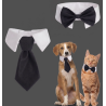 LOT DE 2 COLLIERS DE SMOKING POUR CHIEN ET CHAT