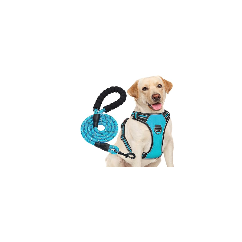 Harnais anti-traction bleu avec laisse pour chiens de taille moyenne et grande
