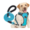 Harnais anti-traction bleu avec laisse pour chiens de taille moyenne et grande