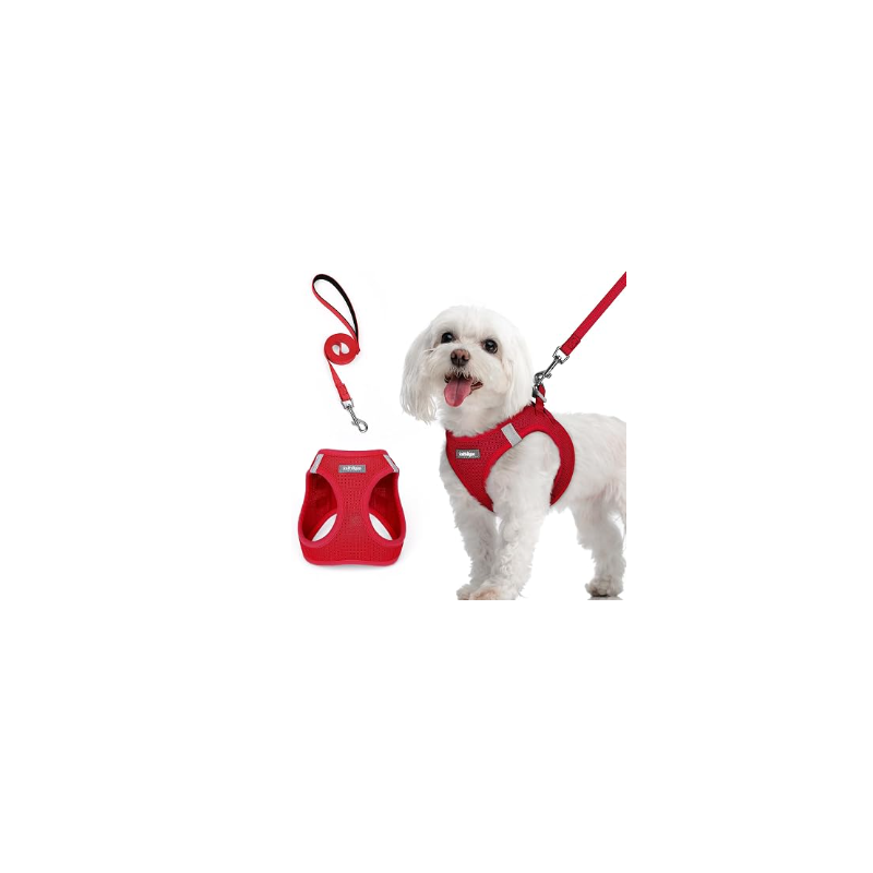Harnais pour chien de petite taille avec laisse réfléchissant. En Maille Souple, gilet réglable et facile à mettre, rouge