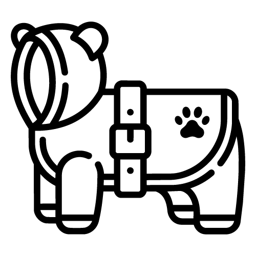 Manteaux / Vêtements
